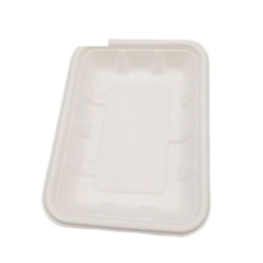 Biodegradable disposable meat tray rectangle sugarcane bagasse tray