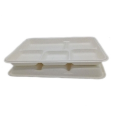 5 compartment Eco friendly bagasse pulp compostable lunch food sugarcane tray for meat