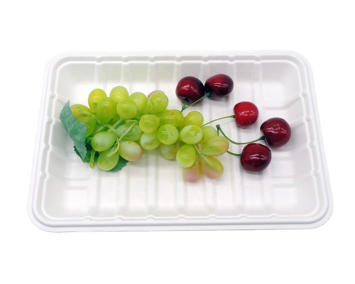 100% degradable disposable sugarcane pulp white meat tray