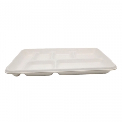 Bandeja rectangular disponible de la comida de la porción de la bandeja biodegradable del compartimiento del bagazo de la caña de azúcar 6