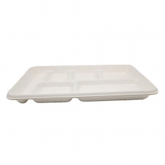 Biodegradable sugarcane bagasse 6 compartment tray disposable rectangular serving food tray