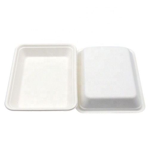 Biodegradable Bagass School Lunch Food Trays