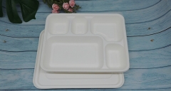 Bagasse Tablett biologisch abbaubares recyceltes Zuckerrohr-Fruchtfleisch Tablett mit Deckel