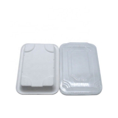Bagasse Sushi Takeaway tray Biodegradable Sugarcne Sushi Box