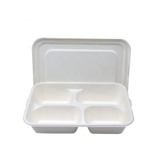 Biodegradável polpa de cana-de-açúcar bandeja caixa de farinha bandeja descartável comida bandeja