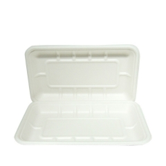 Biodegradable sugarcane trays disposable bagasse serving trays for restaurant