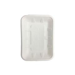 biodegradable rectangle sugarcane bagasse tray for the restaurant