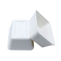 Airline Elegantes Design Biologisch abbaubares Zuckerrohr-Bagasse-Sushi-Tablett