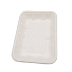 Biodegradable Compostable Food Sugarcane Pulp Packing White Tray