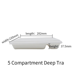 Biodegradable Sugarcane Bagasse 5 Compartment Food Trays with Lid