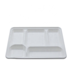 Biodegradable Sugarcane Bagasse Disposable 5 Compartments Lunch Food Tray