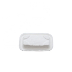 Biodegradable disposable sugarcane pulp serving sushi tray for takeaway