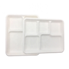 Bagasse Disposable 5-grid Sugarcane Tray Compostable Food Trays