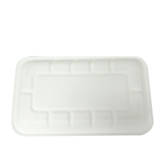 Biodegradable sugarcane trays disposable bagasse serving trays for restaurant