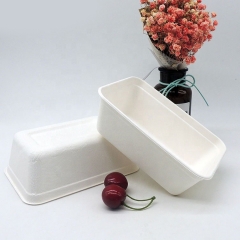 Airline Elegant Design Biodegradable Sugarcane Bagasse Sushi Tray