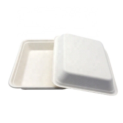 Biodegradable Bagass School Lunch Food Trays