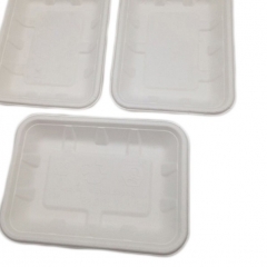 Bandeja de comida de papel de bagazo de caña de azúcar disponible 100% biodegradable