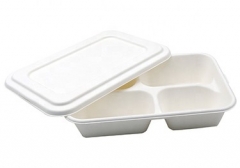 Biodegradable sugarcane pulp meal box tray disposable food tray