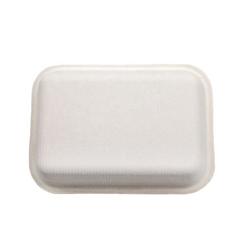 350ML Biodegradable Compostable Bagasse Sugarcane Disposable Tray