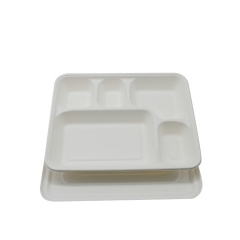 Bagaço de cana-de-açúcar biodegradável bandejas para alimentos com 5 compartimentos e tampa