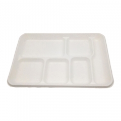 Biodegradable sugarcane bagasse 6 compartment tray disposable rectangular serving food tray
