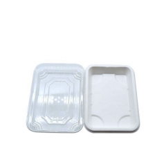 Biodegradable Sugarcne Sushi Box Sushi Takeaway tray