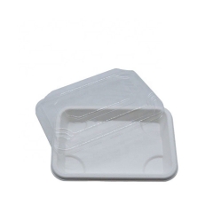 Bagasse Sushi Takeaway tray Biodegradable Sugarcne Sushi Box