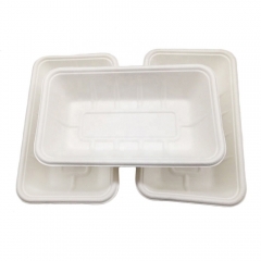 Bagasse Compostable 750ml Biodegradable Sugarcane Disposable Tray