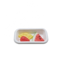 Biodegradable disposable sugarcane pulp serving sushi tray for takeaway