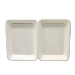 Biodegradable Bagass School Lunch Food Trays