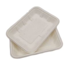 100% biodegradable disposable sugarcane bagasse paper food tray