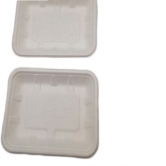 100% biodegradable disposable microwavable sugarcane food tray for restaurant