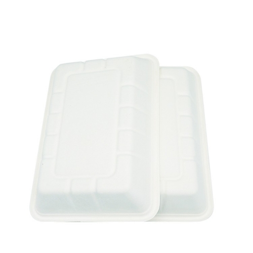 100% compostable disposable biodegradable bagasse fruit trays