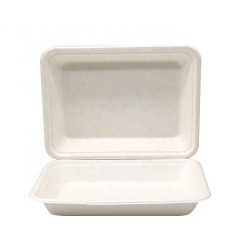 Biodegradable Bagass School Lunch Food Trays