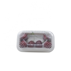 Biodegradable disposable sugarcane pulp serving sushi tray for takeaway