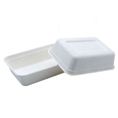 Biodegradable Sugarcane Tray Bagasse Tableware For Food