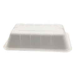 Plateau jetable de canne à sucre de bagasse biodégradable biodégradable 750ML