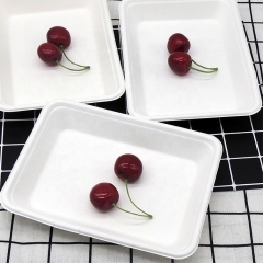 100% Compostable Bagasse Microwavable Sugarcane Tray for Food