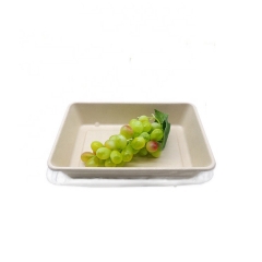 28oz Biodegradable Bagasse Sugarcane Compostable Tray With PET Lids