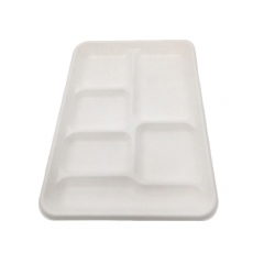 Biodegradable sugarcane bagasse 6 compartment tray disposable rectangular serving food tray