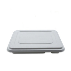 Biodegradable Tray Bagasse 5 Compartment Eco Tray For Lunch