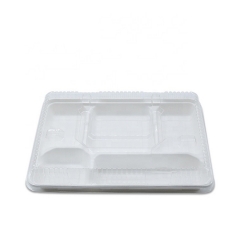 Biodegradable Sugarcane Bagasse Disposable 5 Compartments Lunch Food Tray