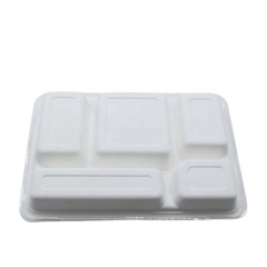 Biodegradable Sugarcane Bagasse Disposable 5 Compartments Lunch Food Tray