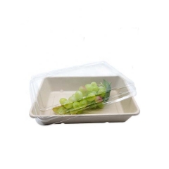 Plateau compostable biodégradable de canne à sucre de bagasse de 28 onces avec des couvercles d'ANIMAL FAMILIER