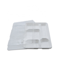 Biologisch abbaubare Zuckerrohr-Bagasse Einweg 5 Fächer Lunch Food Tray