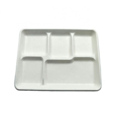 Bagasse Disposable 5-grid Sugarcane Tray Compostable Food Trays