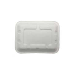 biodegradable rectangle sugarcane bagasse tray for the restaurant