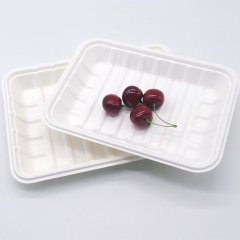 100% βιοδιασπώμενος δίσκος συσκευασίας τροφίμων σακχαροκάλαμο μπαγάσης