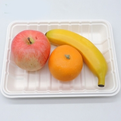 Khay đựng trái cây hình chữ nhật bằng bã mía phân hủy sinh học cho siêu thị