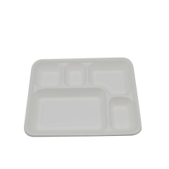 Bagasse Tablett biologisch abbaubares recyceltes Zuckerrohr-Fruchtfleisch Tablett mit Deckel